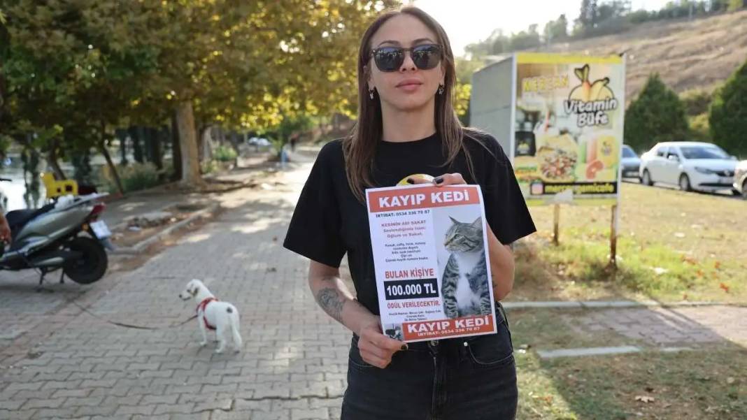 Adana’da Kayıp Kediye 100 Bin Lira Ödül! Kedisi İçin Duygusal Çağrı 2